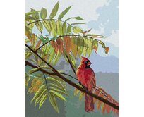 Zuty - Malování podle čísel – PTÁK KARDINÁL NA VĚTVI A MĚNÍCÍ SE LISTÍ (JAMES HAUTMAN) 40x50 cm bez rámu a bez vypnutí plátna