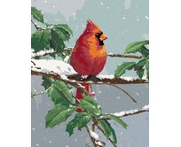 Zuty - Malování podle čísel –  PTÁK KARDINAL NA ZASNĚŽENÉ VĚTVI CESMÍNY (JAMES HAUTMAN) 40x50 cm bez rámu a bez vypnutí plátna