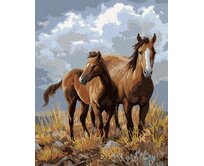 Zuty - Malování podle čísel – KONĚ NA NÁHORNÍCH PLANINÁCH (JAMES HAUTMAN) 40x50 cm bez rámu a bez vypnutí plátna
