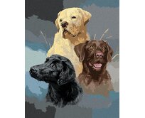 Zuty - Malování podle čísel - ZLATÝ, HNĚDÝ A ČERNÝ LABRADOR (JAMES HAUTMAN) 40x50 cm vypnuté plátno na rám