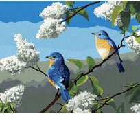 Zuty - Malování podle čísel - PTÁK SALAŠNÍK A ŠEŘÍK (ROBERT HAUTMAN) 40x50 cm vypnuté plátno na rám