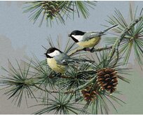 Zuty - Malování podle čísel – SÝKORA NA JEHLIČNATÉ VĚTVI (JAMES HAUTMAN) 40x50 cm vypnuté plátno na rám