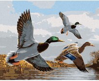 Zuty - Malování podle čísel - KACHNY V LETU A RYBNÍK (JOE HAUTMAN) 40x50 cm bez rámu a bez vypnutí plátna