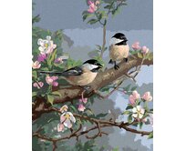 Zuty - Malování podle čísel – SÝKORA A ROZKVETLÁ VĚTEV JABLONĚ (JAMES HAUTMAN) 40x50 cm bez rámu a bez vypnutí plátna