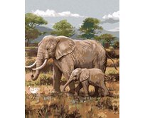 Zuty - Malování podle čísel - AFRICKÉ SAFARI SLONI (JOE HAUTMAN) 40x50 cm vypnuté plátno na rám