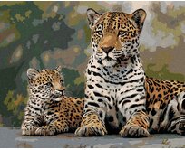 Zuty - Malování podle čísel – LEOPARD A MLÁDĚ (JOE HAUTMAN) 40x50 cm vypnuté plátno na rám