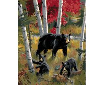 Zuty - Malování podle čísel – ČERNÝ MEDVĚD S MLAĎATY A BŘÍZY (JOE HAUTMAN) 40x50 cm bez rámu a bez vypnutí plátna
