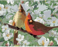 Zuty - Malování podle čísel - PTÁK KARDINÁL A BÍLE ROZKVETLÁ VĚTEV II (JOE HAUTMAN) 40x50 cm bez rámu a bez vypnutí plátna