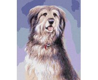 Zuty - Malování podle čísel – DLOUHOSRSTÝ PES (JIM KILLEN) 40x50 cm bez rámu a bez vypnutí plátna