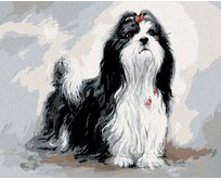 Zuty - Malování podle čísel – SHIH-TZU S ČERVENOU MAŠLÍ (JIM KILLEN) 40x50 cm bez rámu a bez vypnutí plátna