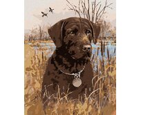 Zuty - Malování podle čísel - HNĚDÝ LABRADOR V RÁKOSÍ U RYBNÍKA (JIM KILLEN) 40x50 cm bez rámu a bez vypnutí plátna