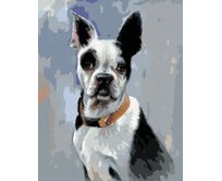 Zuty - Malování podle čísel - BÍLOČERNÝ ANGLICKÝ BULLDOG (JIM KILLEN) 40x50 cm bez rámu a bez vypnutí plátna