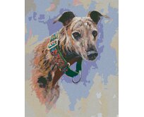 Zuty - Malování podle čísel - CHRT SE ZELENÝM OBOJKEM (JIM KILLEN) 40x50 cm bez rámu a bez vypnutí plátna