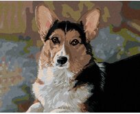 Zuty - Malování podle čísel – WELSH CORGI PEMBROKE (VICTORIA SCHULTZ) 40x50 cm bez rámu a bez vypnutí plátna