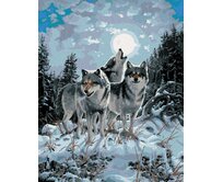Zuty - Malování podle čísel - VLČÍ SMEČKA PŘI ÚPLŇKU (NORTHERN PROMOTIONS) 40x50 cm bez rámu a bez vypnutí plátna