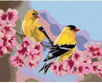 Zuty - Malování podle čísel – PTÁK STEHLÍK NA VĚTVI S RŮŽOVÝMI KVĚTY (VICTORIA SCHULTZ) 40x50 cm vypnuté plátno na rám