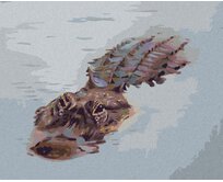 Zuty - Malování podle čísel - ALIGÁTOR PLOVOUCÍ VE VODĚ (D. RUSTY RUST) 40x50 cm vypnuté plátno na rám