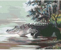 Zuty - Malování podle čísel - ALIGÁTOR JDOUCÍ DO VODY V DŽUNGLI (D. RUSTY RUST) 40x50 cm vypnuté plátno na rám