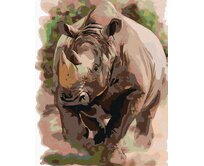 Zuty - Malování podle čísel - NOSOROŽEC 40x50 cm vypnuté plátno na rám