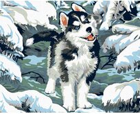 Zuty - Malování podle čísel - MALÝ HUSKY 40x50 cm bez rámu a bez vypnutí plátna