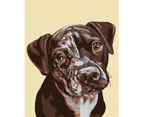 Zuty - Malování podle čísel - FLEKATÉ ŠTĚNĚ 40x50 cm vypnuté plátno na rám