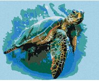 Zuty - Malování podle čísel - KARETA OBROVSKÁ 40x50 cm vypnuté plátno na rám