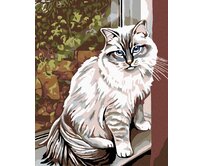 Zuty - Malování podle čísel - BÍLÁ KOČKA V OKNĚ 40x50 cm bez rámu a bez vypnutí plátna