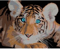 Zuty - Malování podle čísel - TYGŘÍK MODROOČKO 40x50 cm bez rámu a bez vypnutí plátna