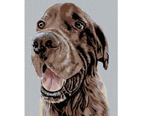 Zuty - Malování podle čísel - KRÁSNÝ HNĚDÝ SETR 40x50 cm bez rámu a bez vypnutí plátna