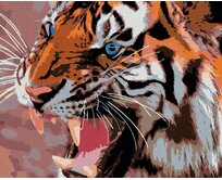 Zuty - Malování podle čísel - MODRÉ TYGŘÍ OČI 40x50 cm vypnuté plátno na rám