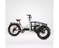 Elektrický kolo tříkolka 750 W 18Ah