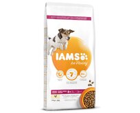 IAMS Dog Senior Small & Medium Chicken 3kg