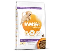 IAMS Dog Puppy Large Chicken 12kg