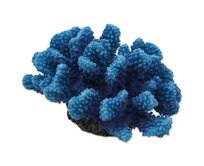 Dekorace AQUA EXCELLENT Mořský korál modrý 14,5 x 10,5 x 7,4 cm