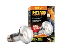 Žárovka EXO TERRA Intense Basking Spot 50W