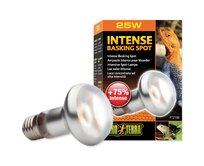 Žárovka EXO TERRA Intense Basking Spot 25W