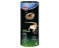 Sušený cvrček 250 ml/25 g