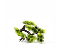 Bonsai malá, akvarijní plastová rostlinka