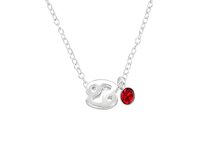 Bangles.cz Řetízek Symboly Zvěrokruhu stříbro 925 Zvěrokruh: Rak mnohobarevný, stříbro