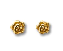 Náušnice Růže Gold 3082 zlatá, nerezová ocel
