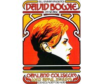 Plechová cedule David Bowie Velikost: A5 (20 x 15 cm) A5 (20 x 15 cm)