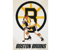 Plechová cedule Boston Bruins Velikost: A5 (20 x 15 cm) A5 (20 x 15 cm)