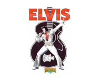 Plechová cedule Elvis III Velikost: A5 (20 x 15 cm) A5 (20 x 15 cm)