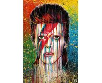 Plechová cedule David Bowie II Velikost: A5 (20 x 15 cm) A5 (20 x 15 cm)