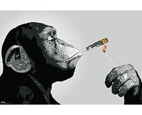 Plechová cedule Smoking Monkey Velikost: A4 (30 x 20 cm) A4 (30 x 20 cm)
