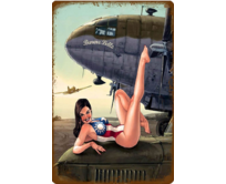 Plechová cedule Avion Girl Velikost: A4 (30 x 20 cm) A4 (30 x 20 cm)