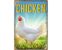 Plechová cedule Chicken Velikost: A4 (30 x 20 cm) A4 (30 x 20 cm)