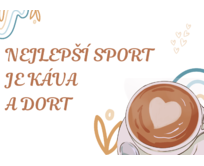 Plechová cedule Nejlepší sport... Velikost: A5 (20 x 15 cm) A5 (20 x 15 cm)