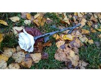 Kovaná růže s květem v bílé barvě