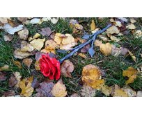 Kovaná růže s květem v červené barvě